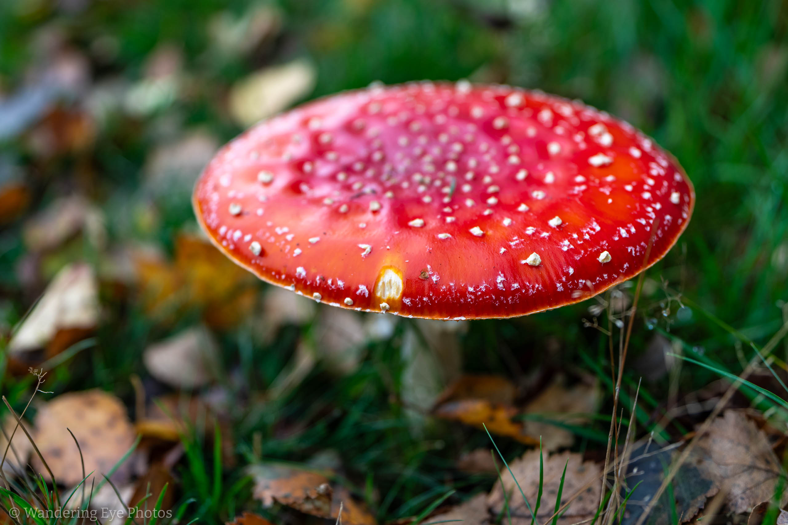 10.13 14.28.05   DSC08037